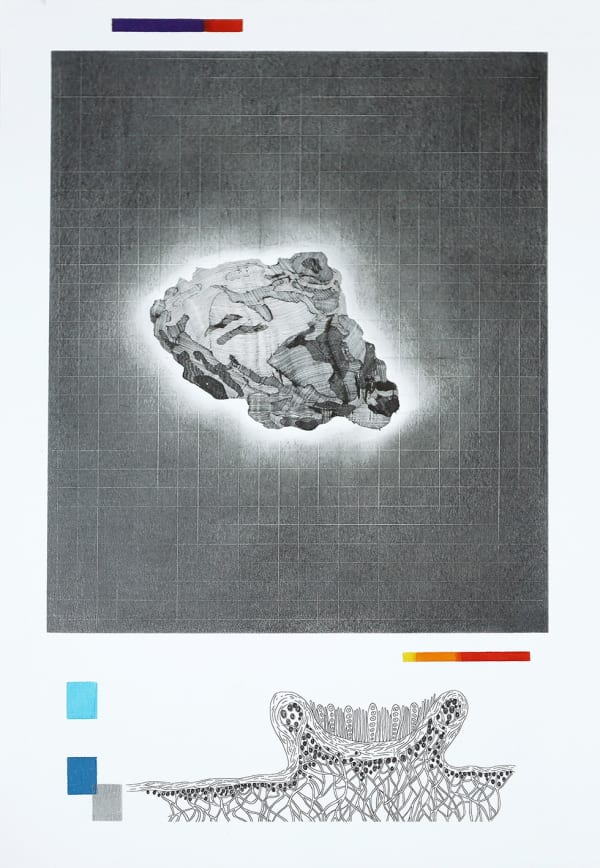 Potentially Hazardous Portraits #5