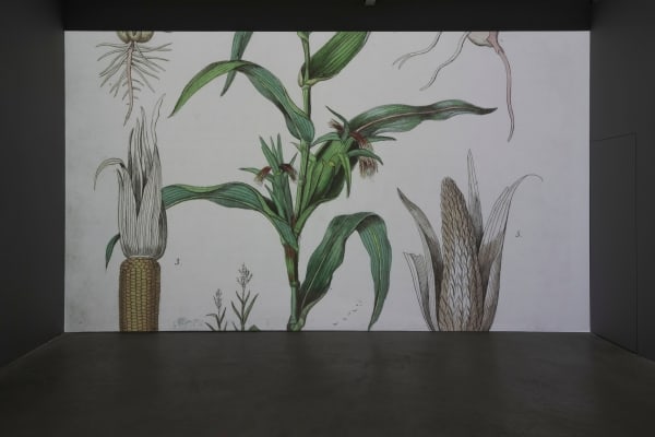 Isadora Neves Marques, Linnaeus and the Terminator Seed, 2017