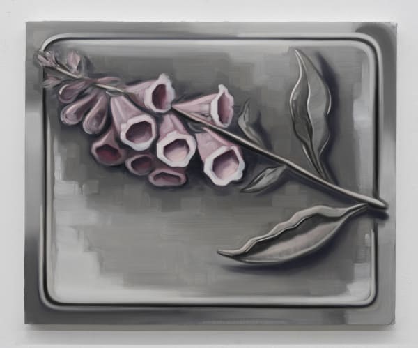 Consistency (Digitalis purpurea L.) II