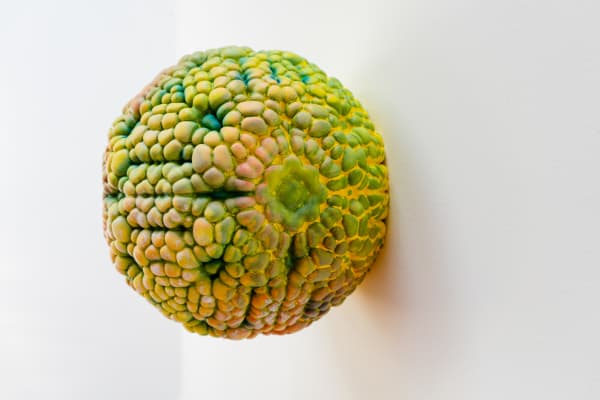 Two Expansions at Once I