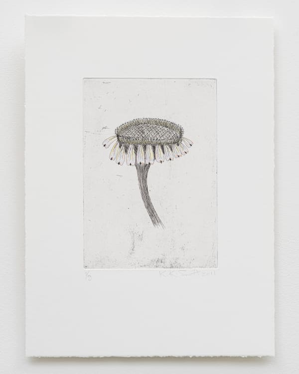 Kiki Smith, Escapades, 2011