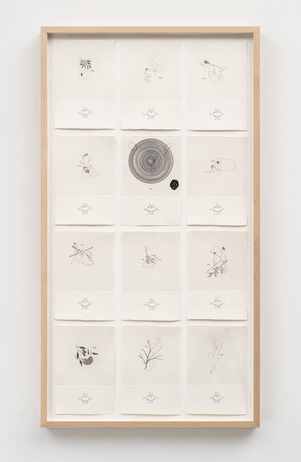José Antonio Suárez Londoño, n.291 Once Rodeados (Lotería), 2014