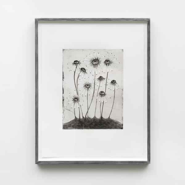 Kiki Smith, Variety Flowers, 2014