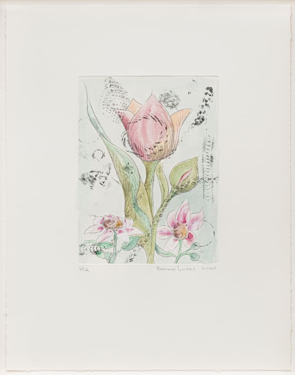 Bonnie Lucas, Small Tulip, 2020