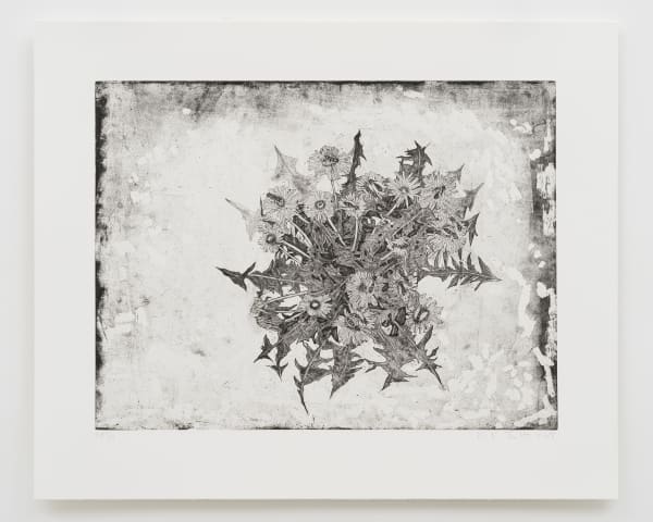 Kiki Smith, Healers, 2018