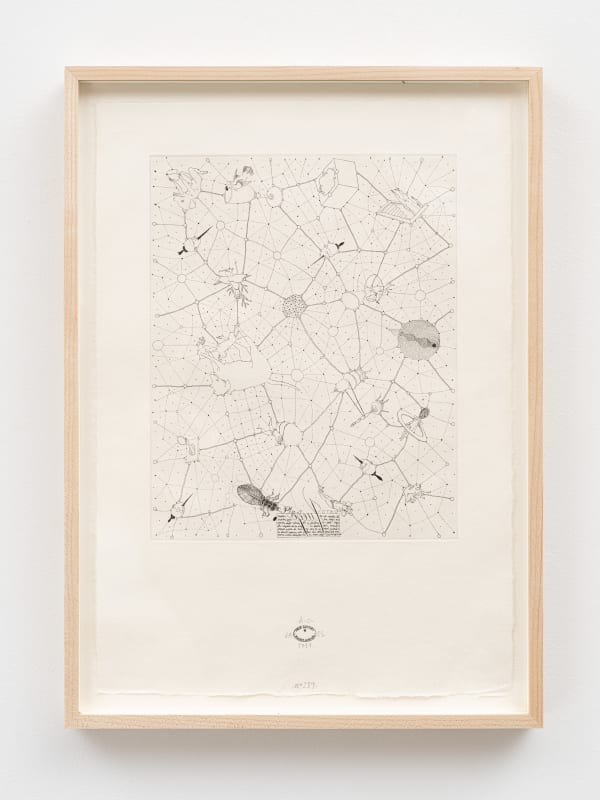 José Antonio Suárez Londoño, n.289 Play Otros Juegos, 2014