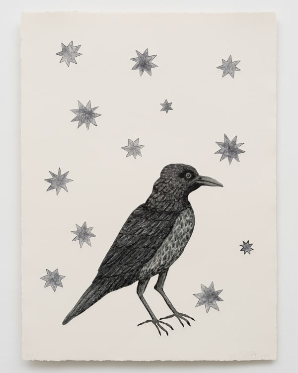 Kiki Smith, Birds with Stars, 2005