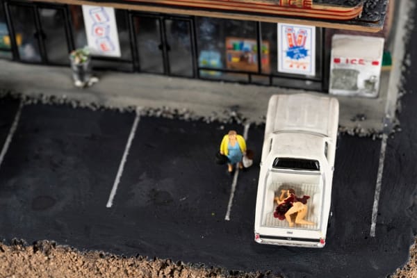 Abigail Goldman, Pit Stop, 2019