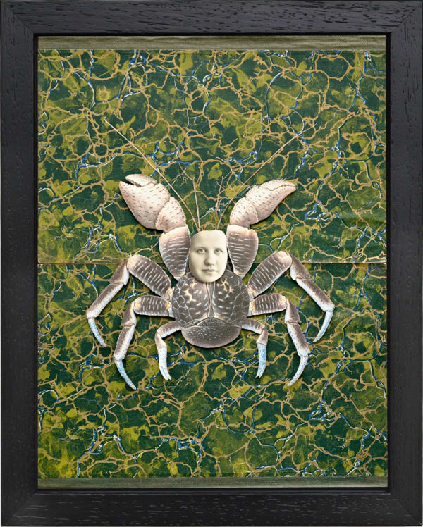 Hope Kroll, L'Imposteur, 2019