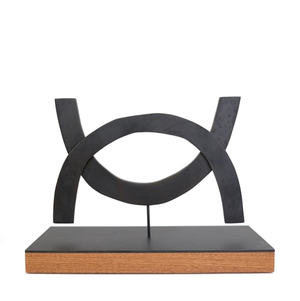 Scott Albrecht, A Shared Vision, 2020