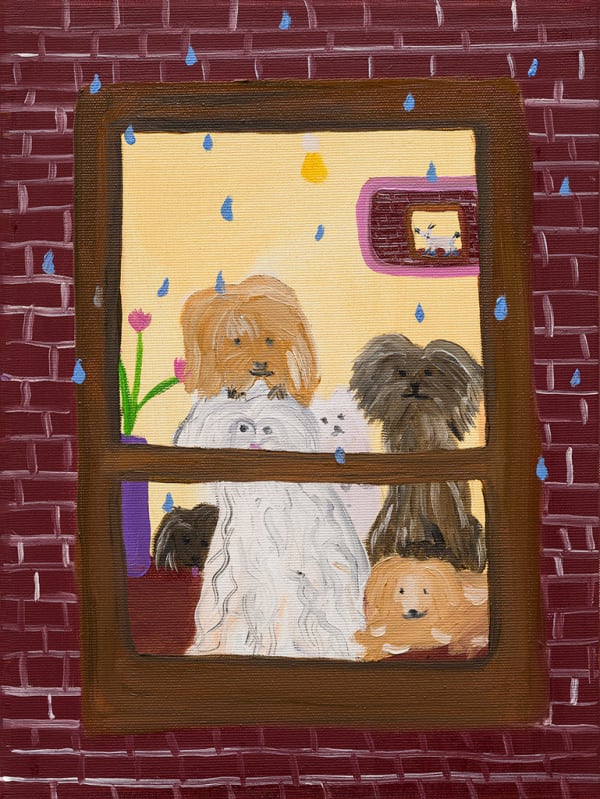 Josefine Schulz, Rainy Day, 2025