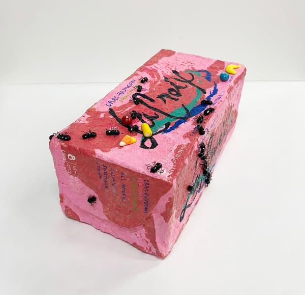 Nic Dyer mixed media sculpture of box of Cran Raspberry La Croix, ants and candy on outside