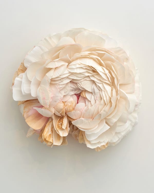 Tiffanie Turner paper sculpture of Ranunculus