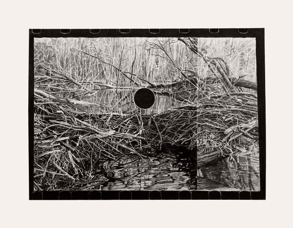 black and white drawing of falling tree branches in the woods