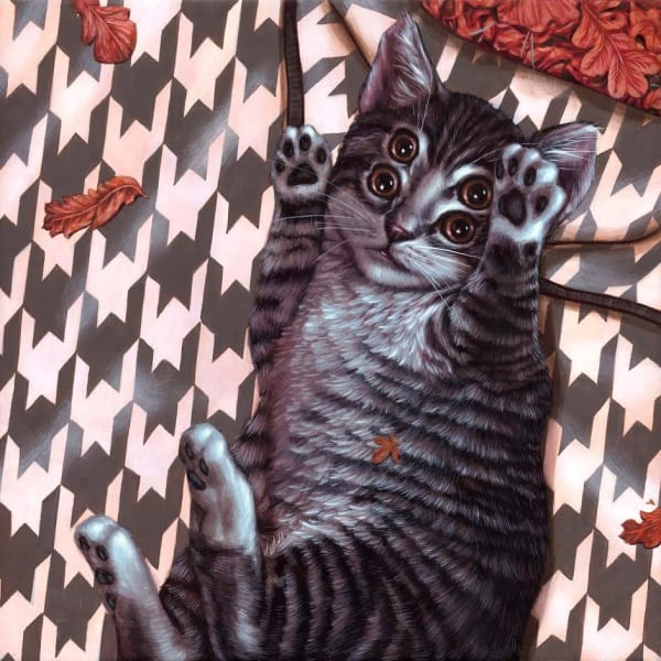 Casey Weldon gray striped four eyed cat