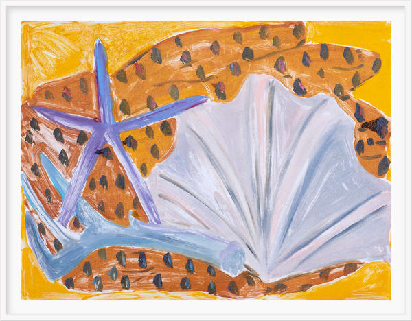 Anna Valdez, Shells and Pattern, 2019