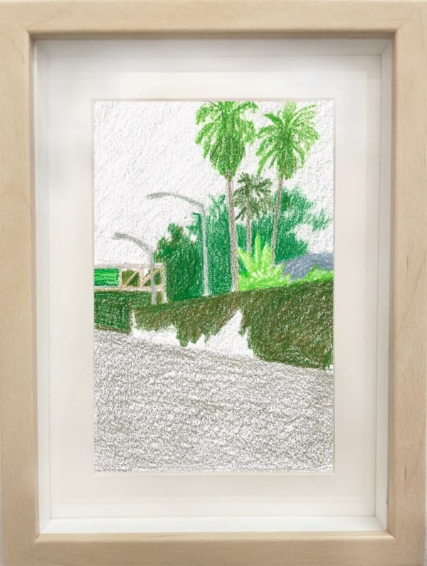 framed drawing - sketch of a palm trees and streetlights
