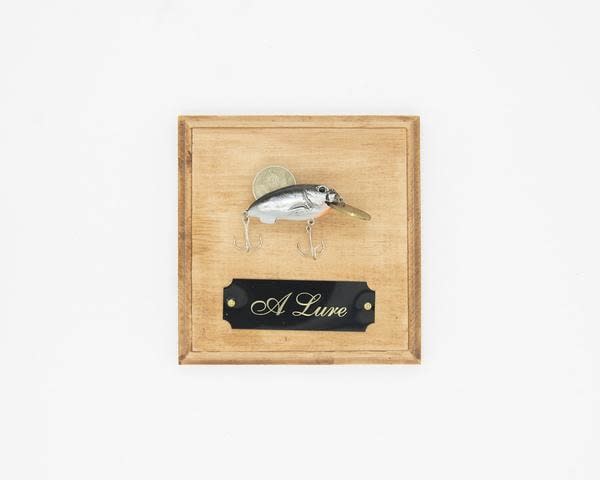 Jeremiah Jenkins, A Lure (Exchange), 2017