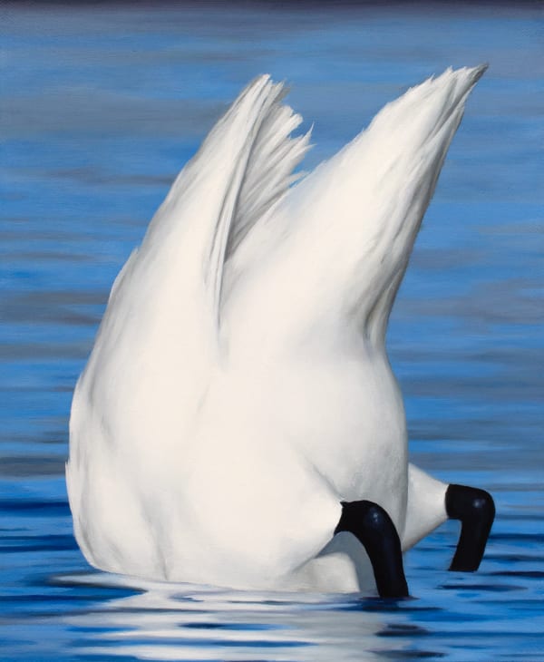 painting of a swan diving into blue water