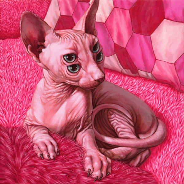 Casey Weldon pink hairless four eyed cat