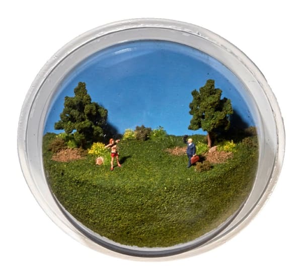 Abigail Goldman, Friendly Greeting, 2019