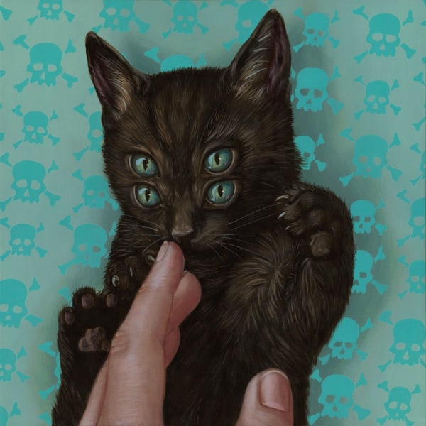 Casey Weldon black four eyed cat