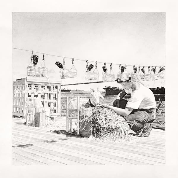 Joel Daniel Phillips, Goat #119, 2019