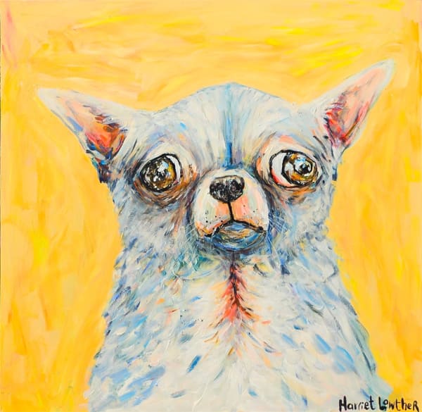 Harriet Lowther, Concern I, 2025