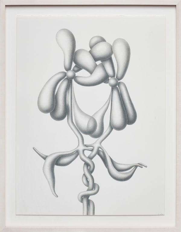 Devra Fox's drawing of a abstract shape in pencil