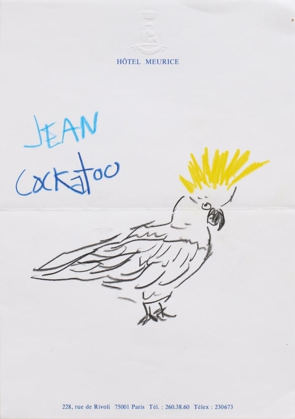 sketch of a a bird with the words "Jean Cockatoo" written next to it on hotel stationary