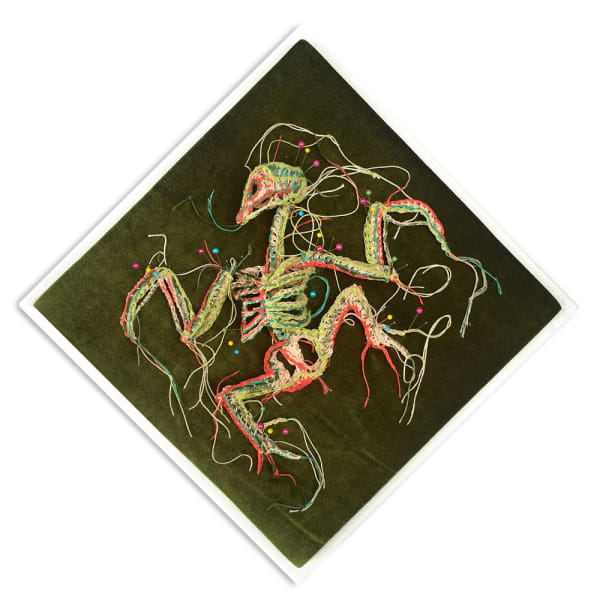 Caitlin McCormack, Ann, 2019