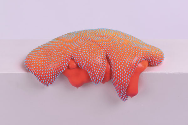 Dan Lam, Attached, 2017