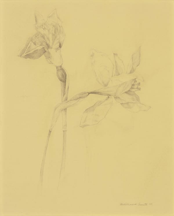 Marjorie Williams-Smith, Untitled , 2000
