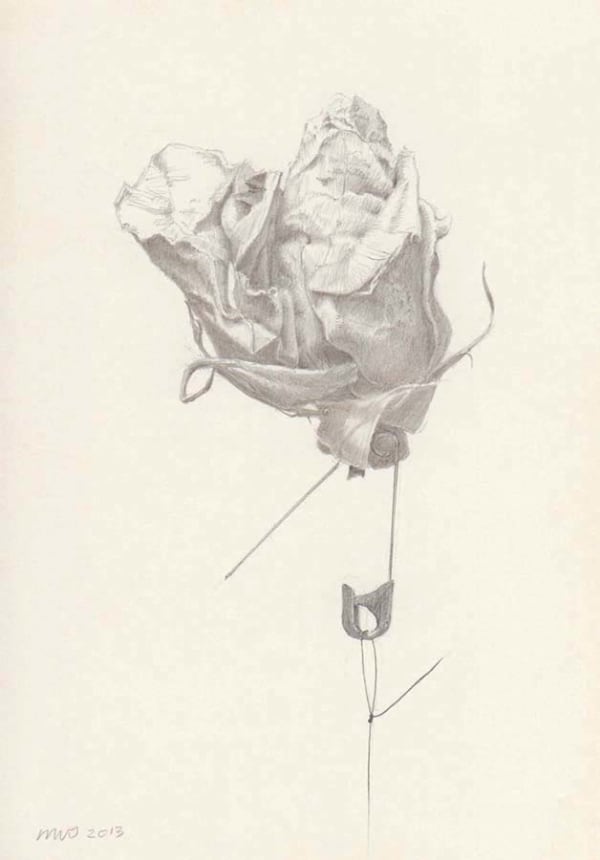 Marjorie Williams-Smith, Rose and Pin, 2013