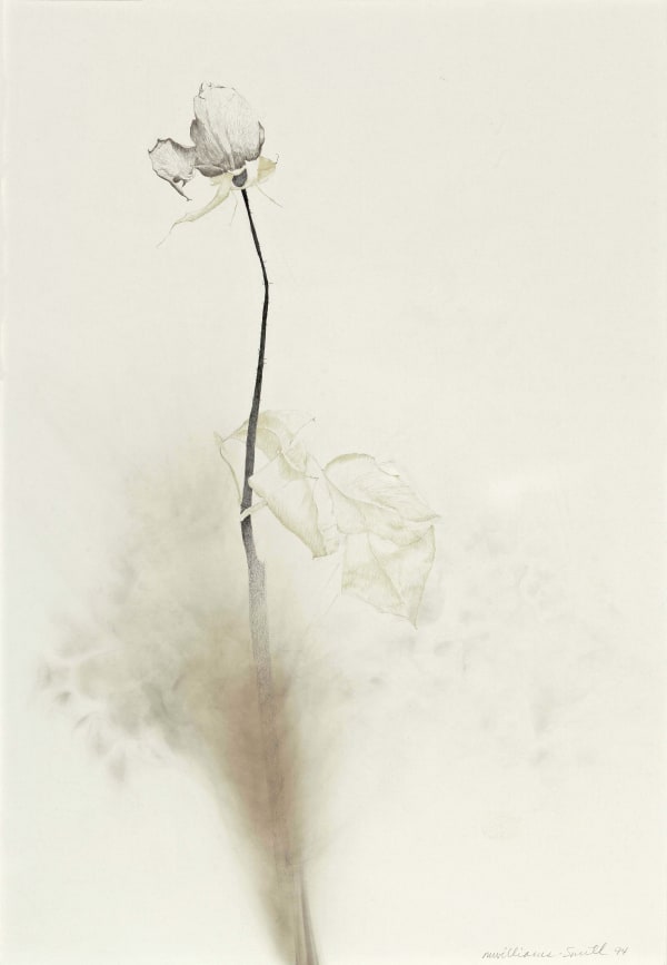 Marjorie Williams-Smith, In the Spirit , 1994