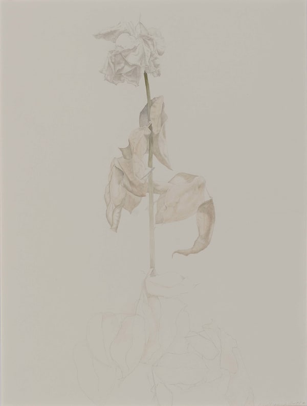 Marjorie Williams-Smith, Untitled, 1994