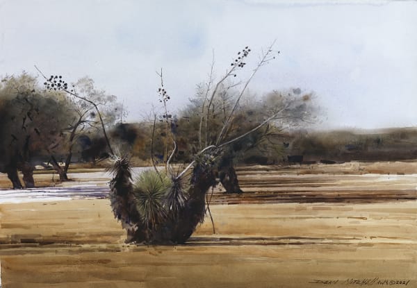 Dean Mitchell, Wild Cactus, 2021