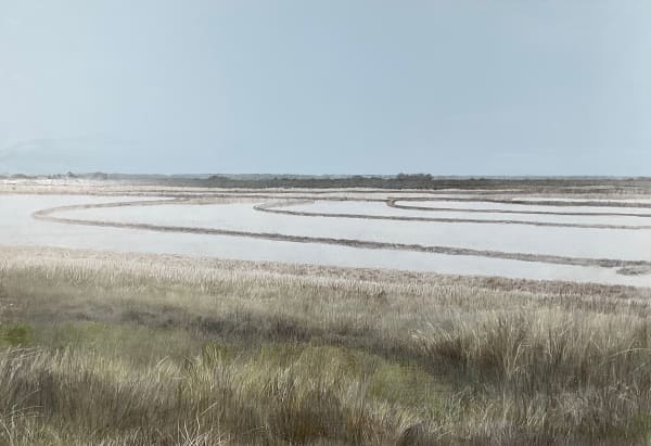 Marjorie Williams-Smith, Black Fields: Furrows in the Rice Field, 2023