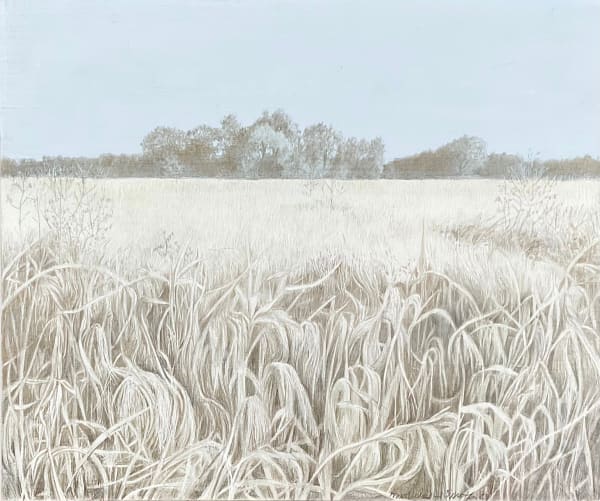 Marjorie Williams-Smith, Black Fields: Rice Ready for Harvest, 2024