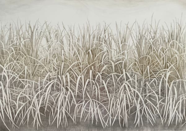 Marjorie Williams-Smith, Black Fields: The Sugar Enigma, 2021