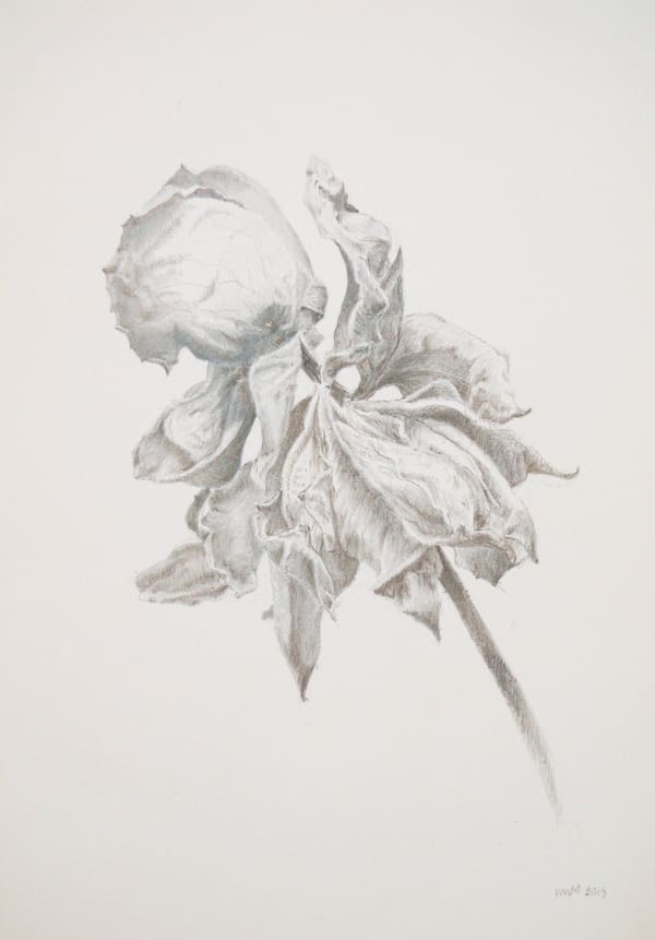 Marjorie Williams-Smith, Rose Motion Left, 2013