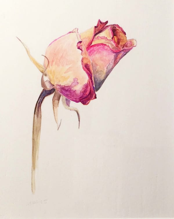 Marjorie Williams-Smith, Pink Rose, 2007