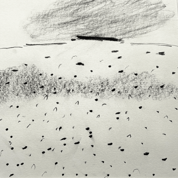 Iceland Drawing En Plein Air (ii), 2023