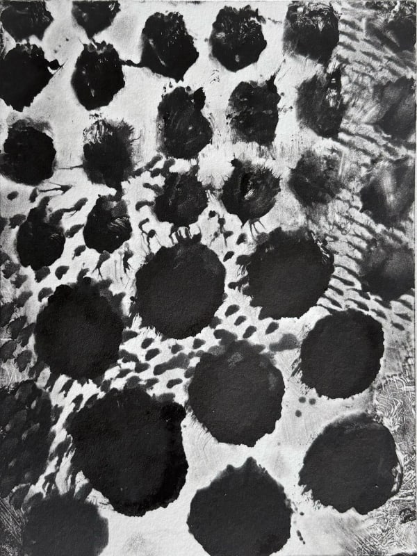 Black and White Monotype (5)