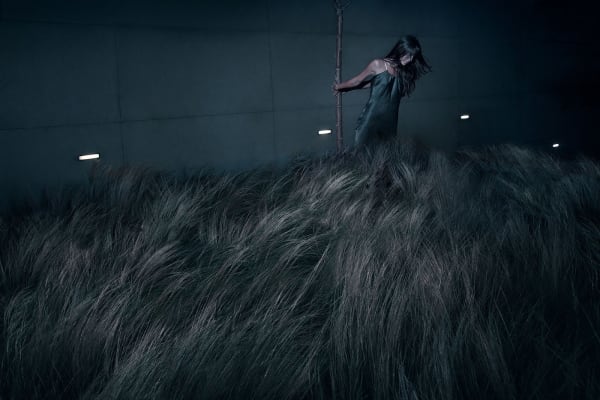 Oskar Alvarado, Insomnia, 2013