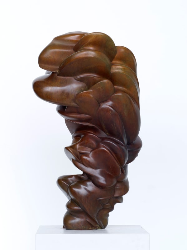 Tony Cragg, Seam, 2015