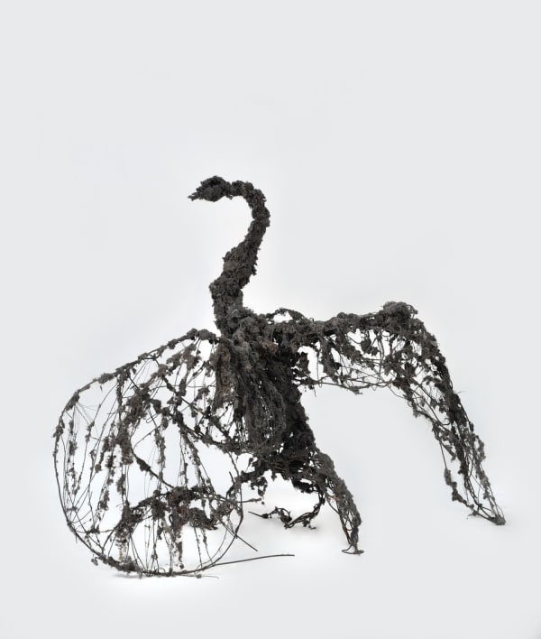 Cygne noir de janvier