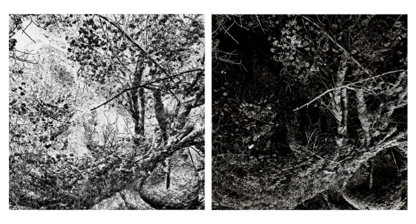 Blaise Adilon Impermanence #2 n°2, 2021 Impression jet d’encre sur papier photographique Rag fine art collage sur dibon 2 mm 1/6 2x50x50 cm