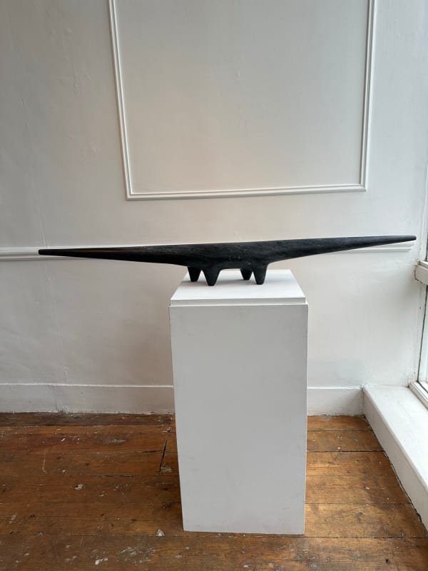 Guy Stevens, Slender Black creature, 2023