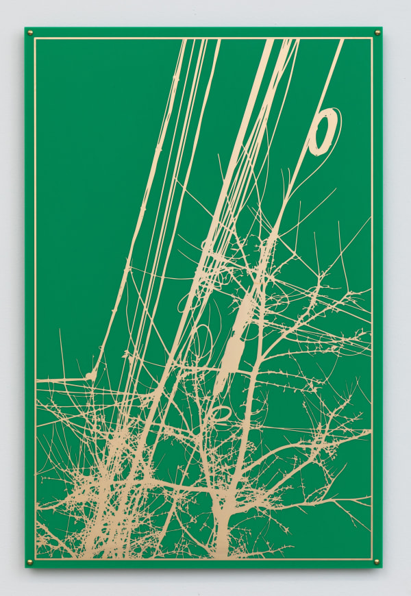 Kristyna and Marek Milde, Motherboard #32323, 2023